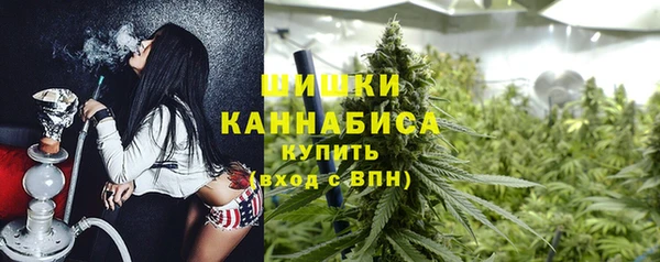 гашик Горнозаводск